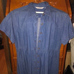 Vintage LL Bean dress